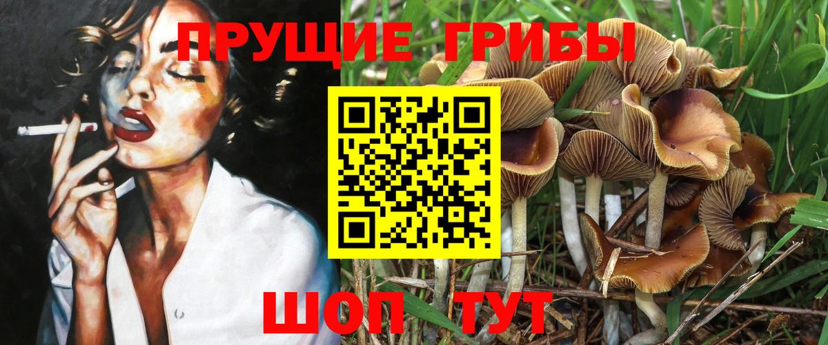 Галлюциногенные грибы Magic Shrooms Волгодонск