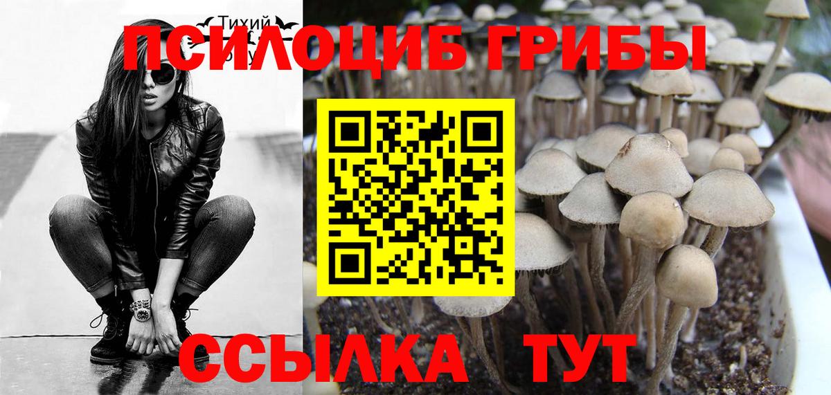 Волгодонск  Псилоцибиновые грибы GOLDEN TEACHER  Вход с VPN  Галлюциногенные грибы GOLDEN TEACHER 